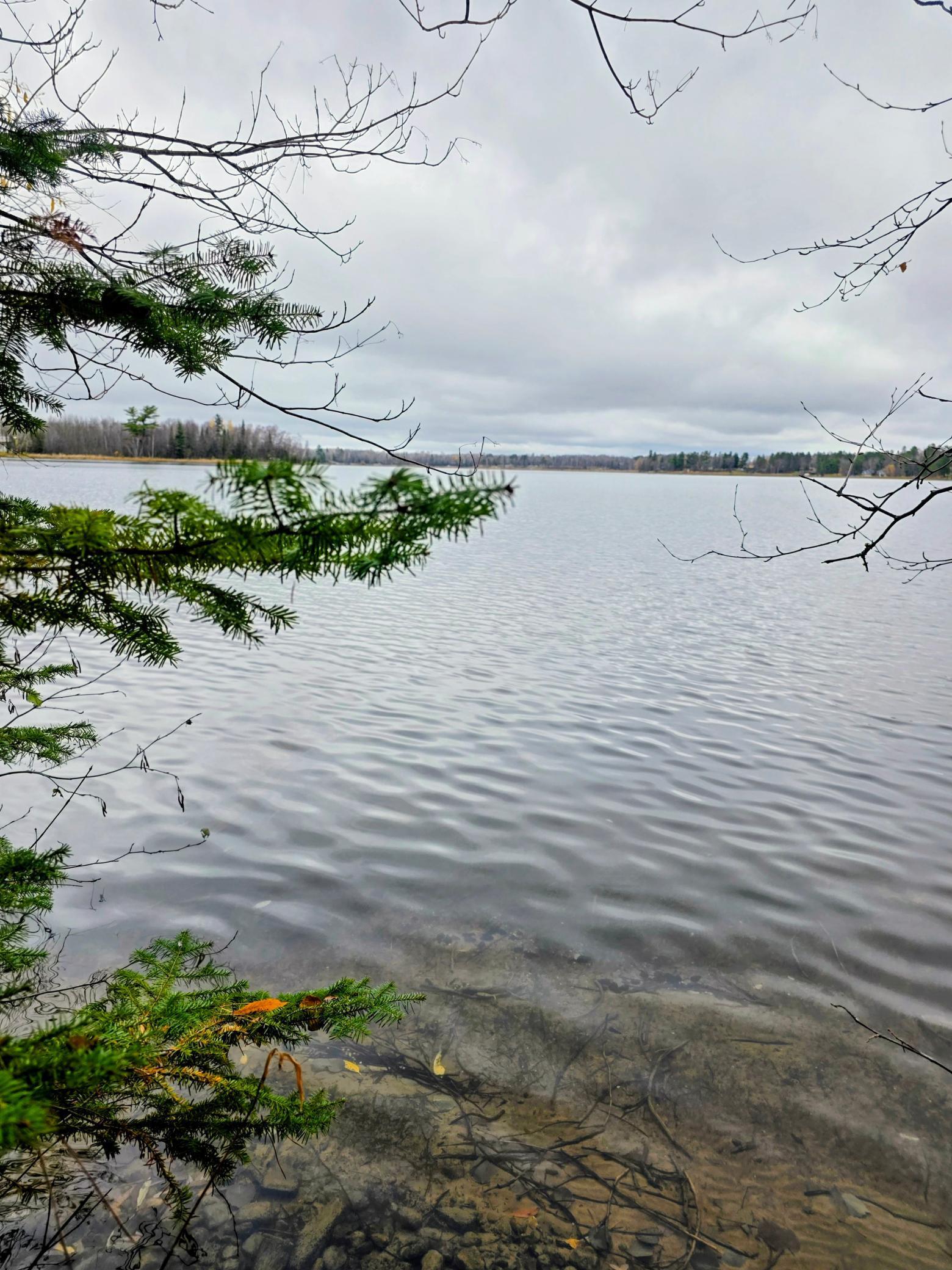 Homes for sale in Nashwauk, MN | 40749 County Road 612, Nashwauk, MN 55769 | MLS# 7033641