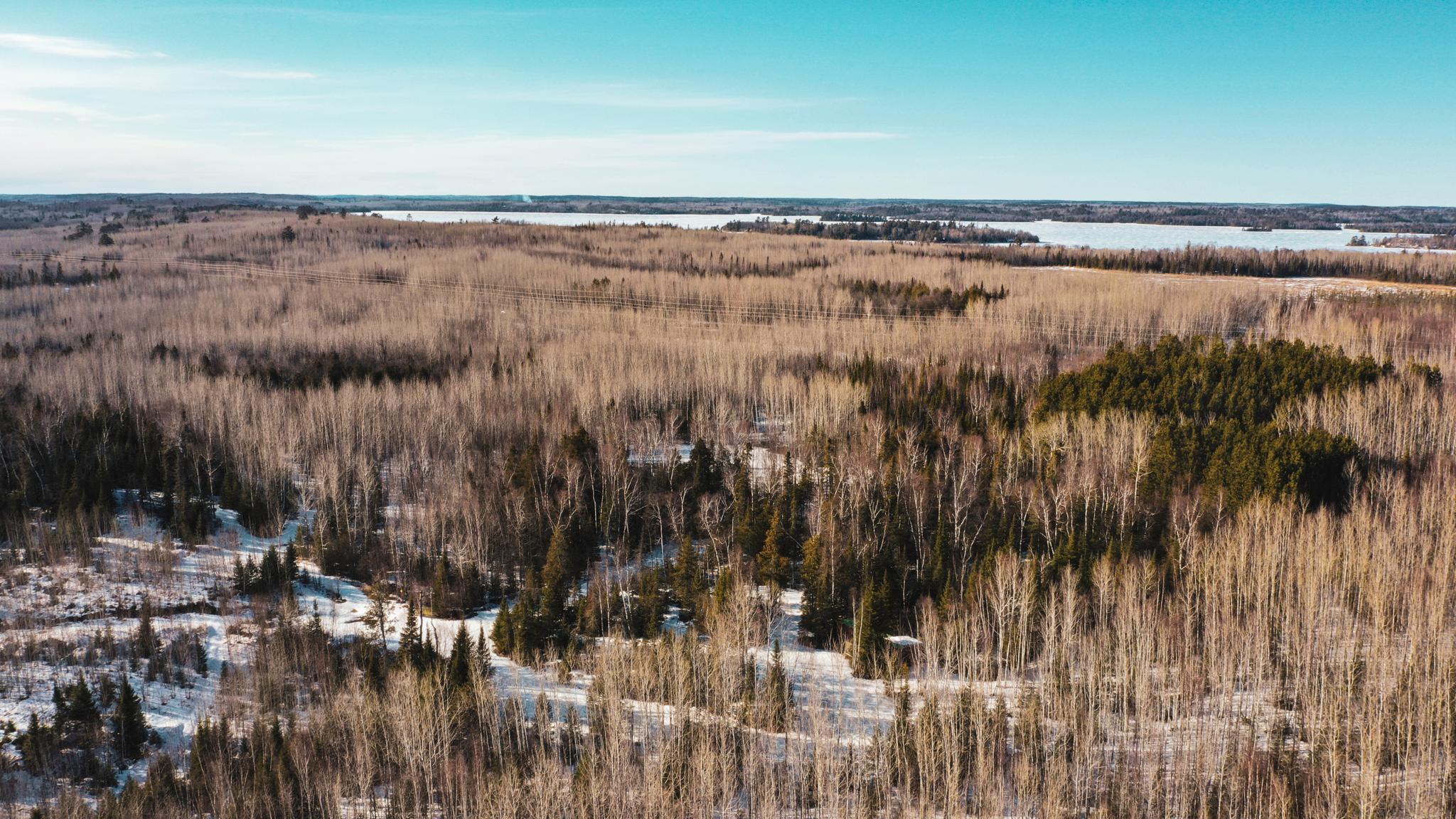 3rd image of Tbd Parcel 17 Hwy 115, Tower, MN 55790 | MLS# 7036003