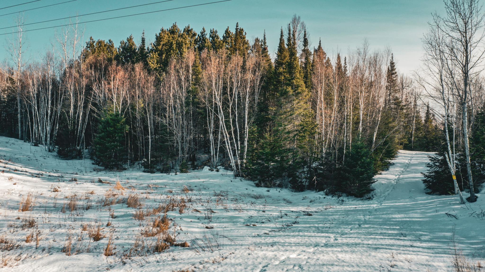 2nd image of Tbd Parcel 17 Hwy 115, Tower, MN 55790 | MLS# 7036003