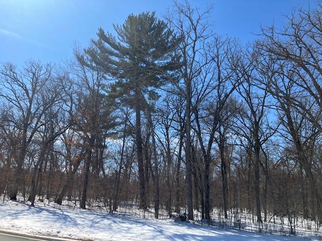 Homes for sale in Sunrise Twp, MN | Lot 2 Sunrise Rd, Sunrise Twp, MN 55032 | MLS# 7036510