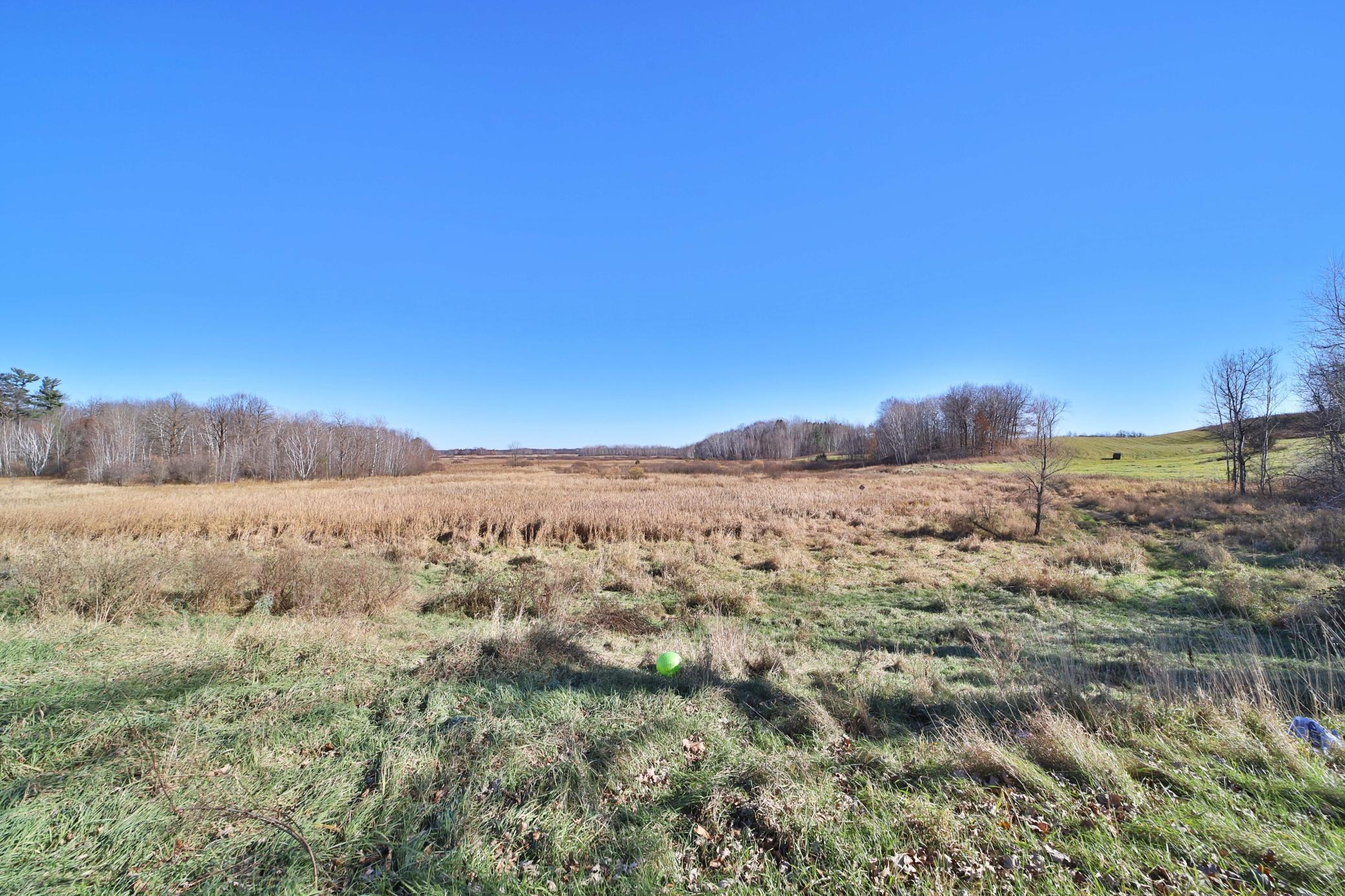 Homes for sale in Browerville, MN | 31356 315th Ave, Browerville, MN 56438 | MLS# 7036613