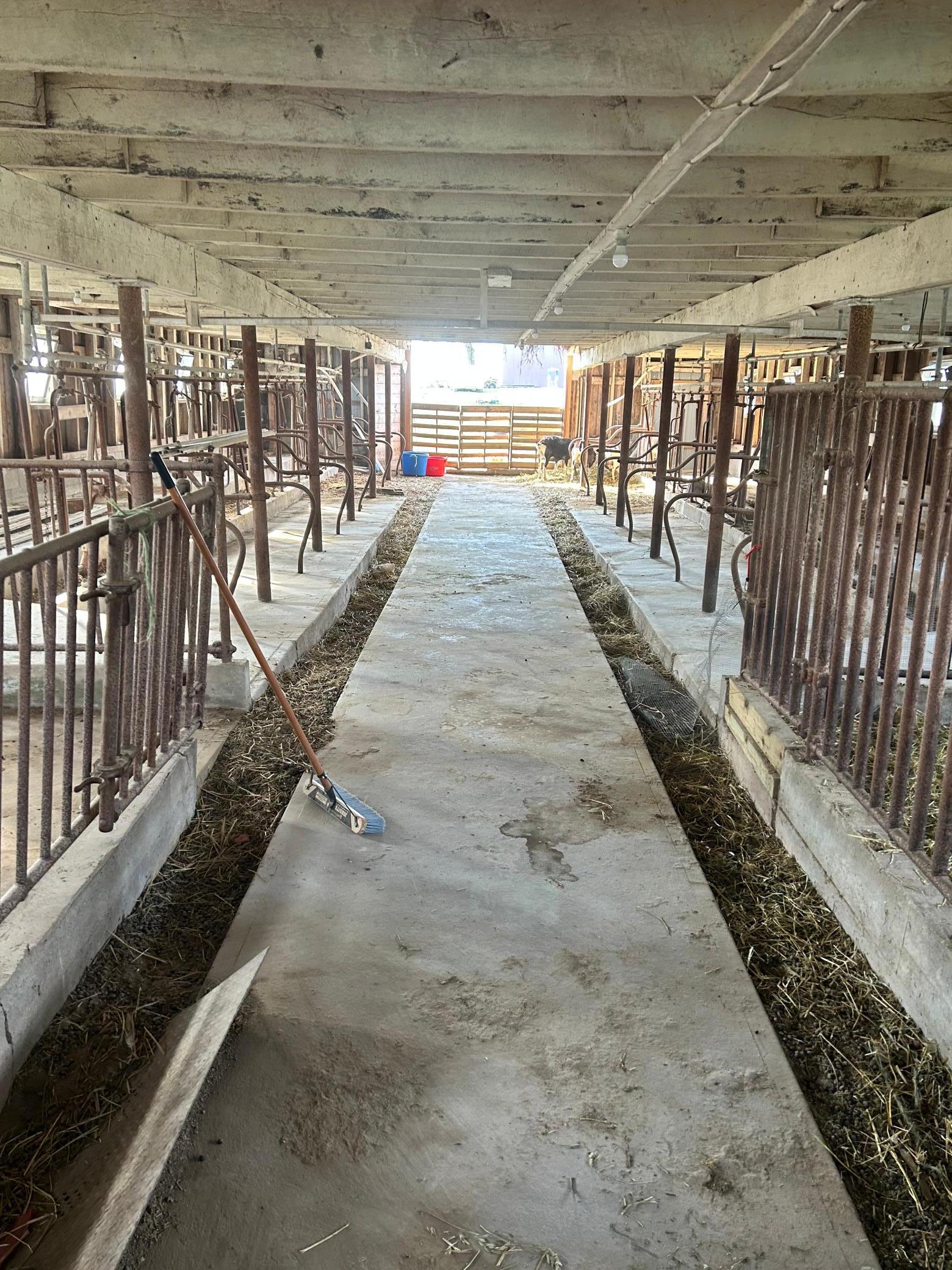 Homes for sale in Mabel, MN | 10422 401st Avenue Avenue, Mabel, MN 55954 | MLS# 7036642