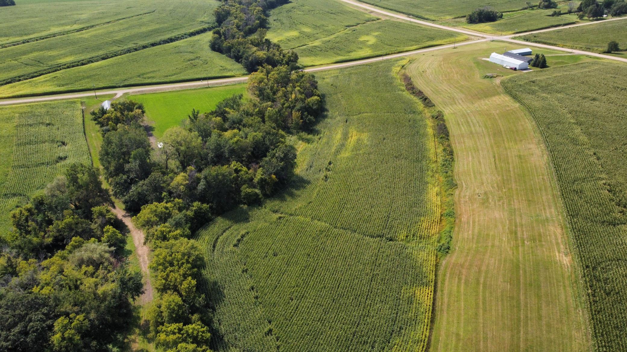 2nd image of 10 Ac Lot 216th Ln, Henderson, MN 56044 | MLS# 7036782