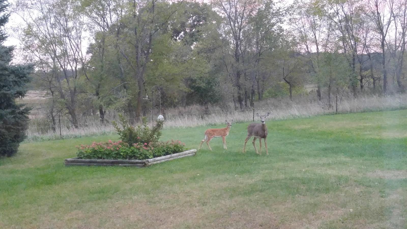 Homes for sale in Dassel, MN | 72295 273rd St, Dassel, MN 55325 | MLS# 7037533