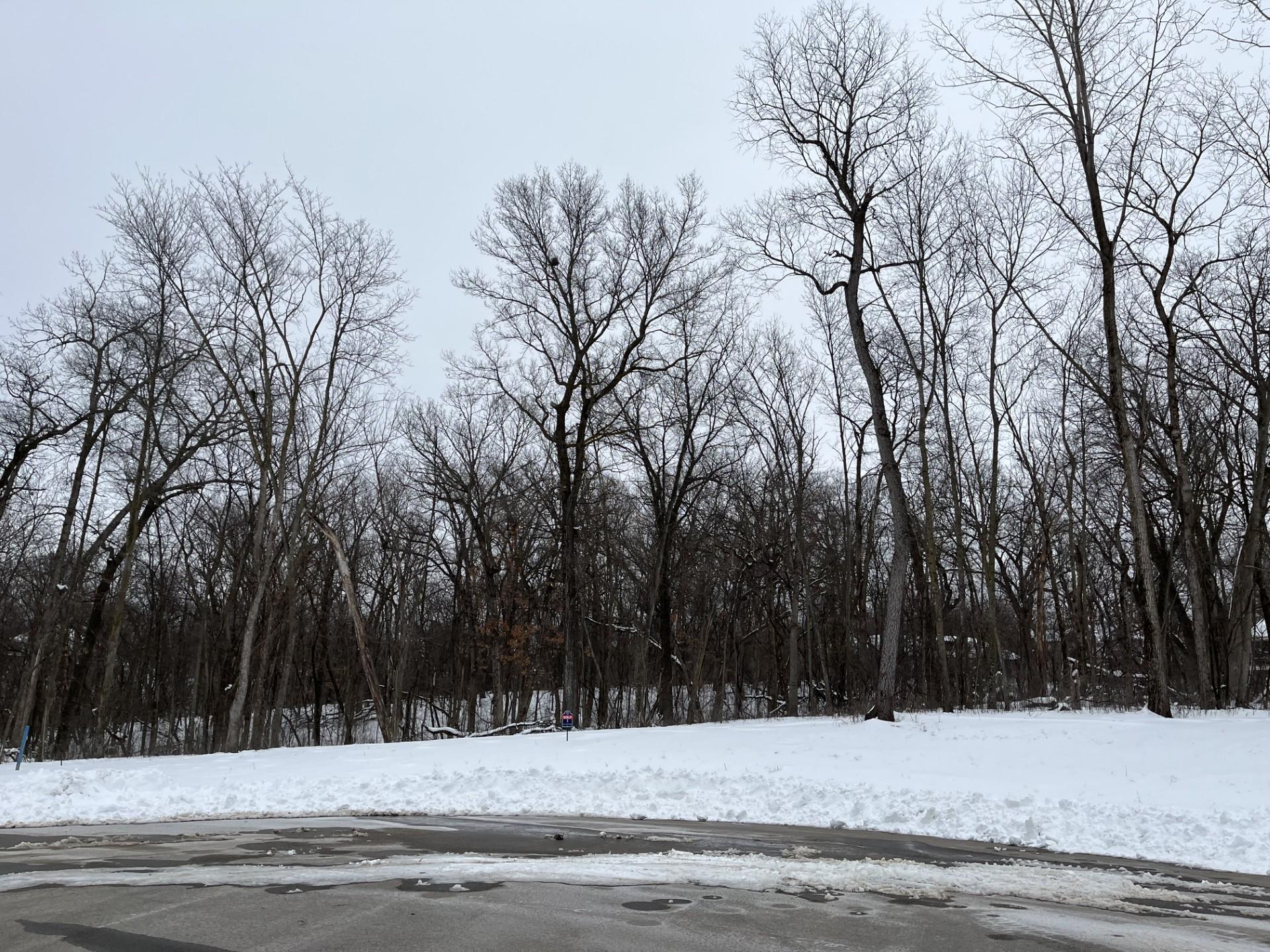 Homes for sale in Rochester, MN | 1148 Pavillion Ln Sw, Rochester, MN 55902 | MLS# 7037727