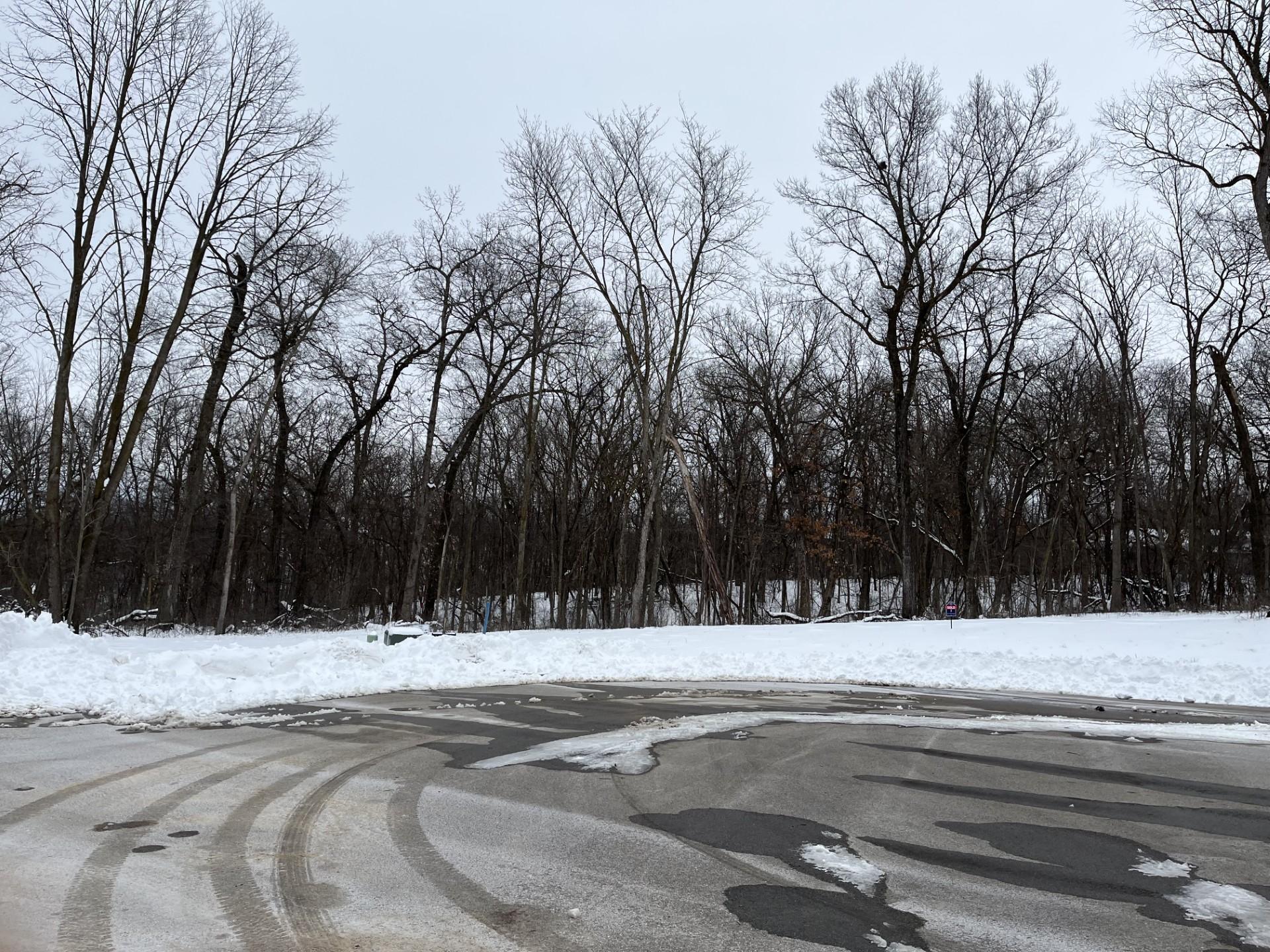 Homes for sale in Rochester, MN | 1148 Pavillion Ln Sw, Rochester, MN 55902 | MLS# 7037727