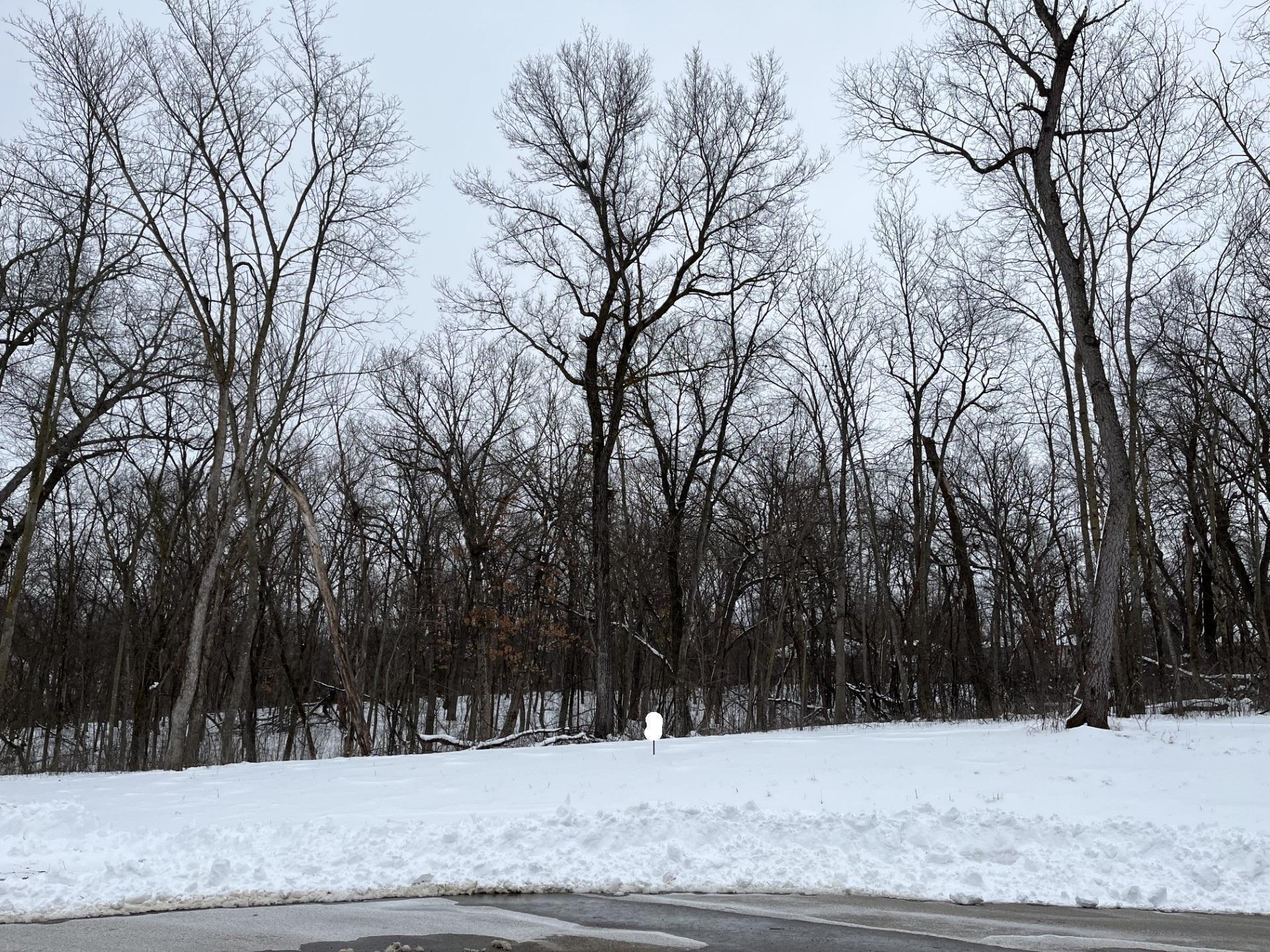 Homes for sale in Rochester, MN | 1148 Pavillion Ln Sw, Rochester, MN 55902 | MLS# 7037727