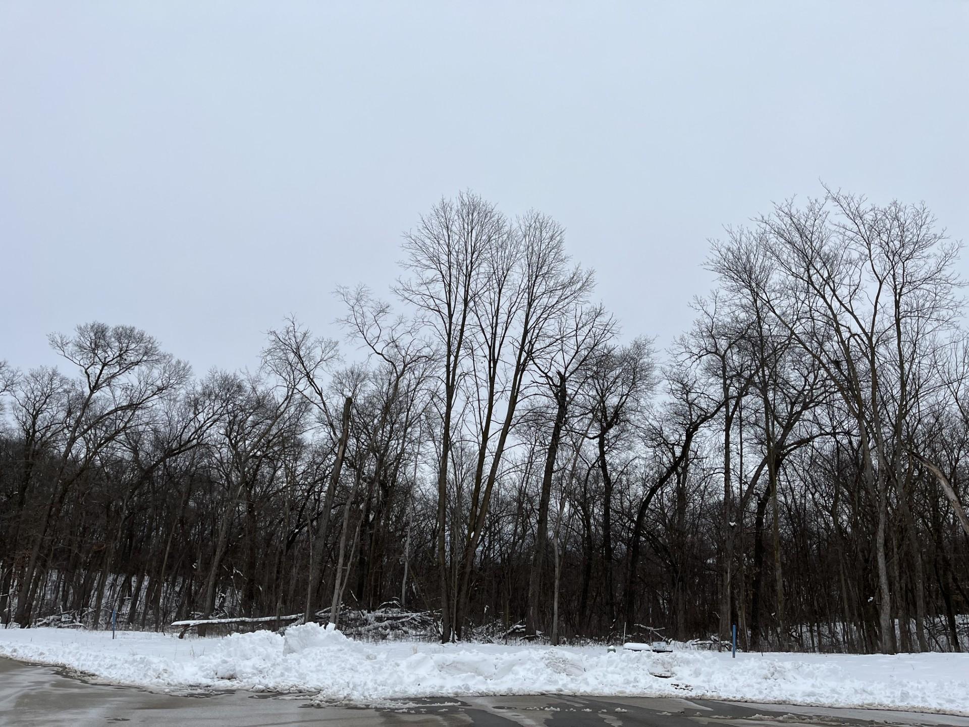 Homes for sale in Rochester, MN | 1148 Pavillion Ln Sw, Rochester, MN 55902 | MLS# 7037727