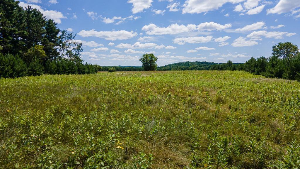 Homes for sale in Boyceville, WI | Tbd Ff, Boyceville, WI 54730 | MLS# 7038234