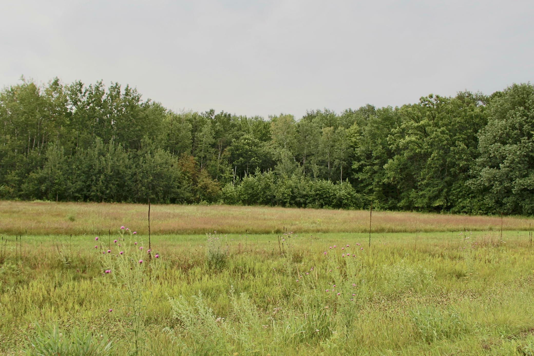 Homes for sale in Sebeka, MN | 16050 280th St, Sebeka, MN 56477 | MLS# 7038361