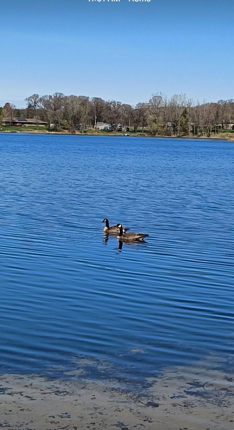 Homes for sale in Zimmerman, MN | 28004 133 1/2 St Nw, Zimmerman, MN 55398 | MLS# 7038475