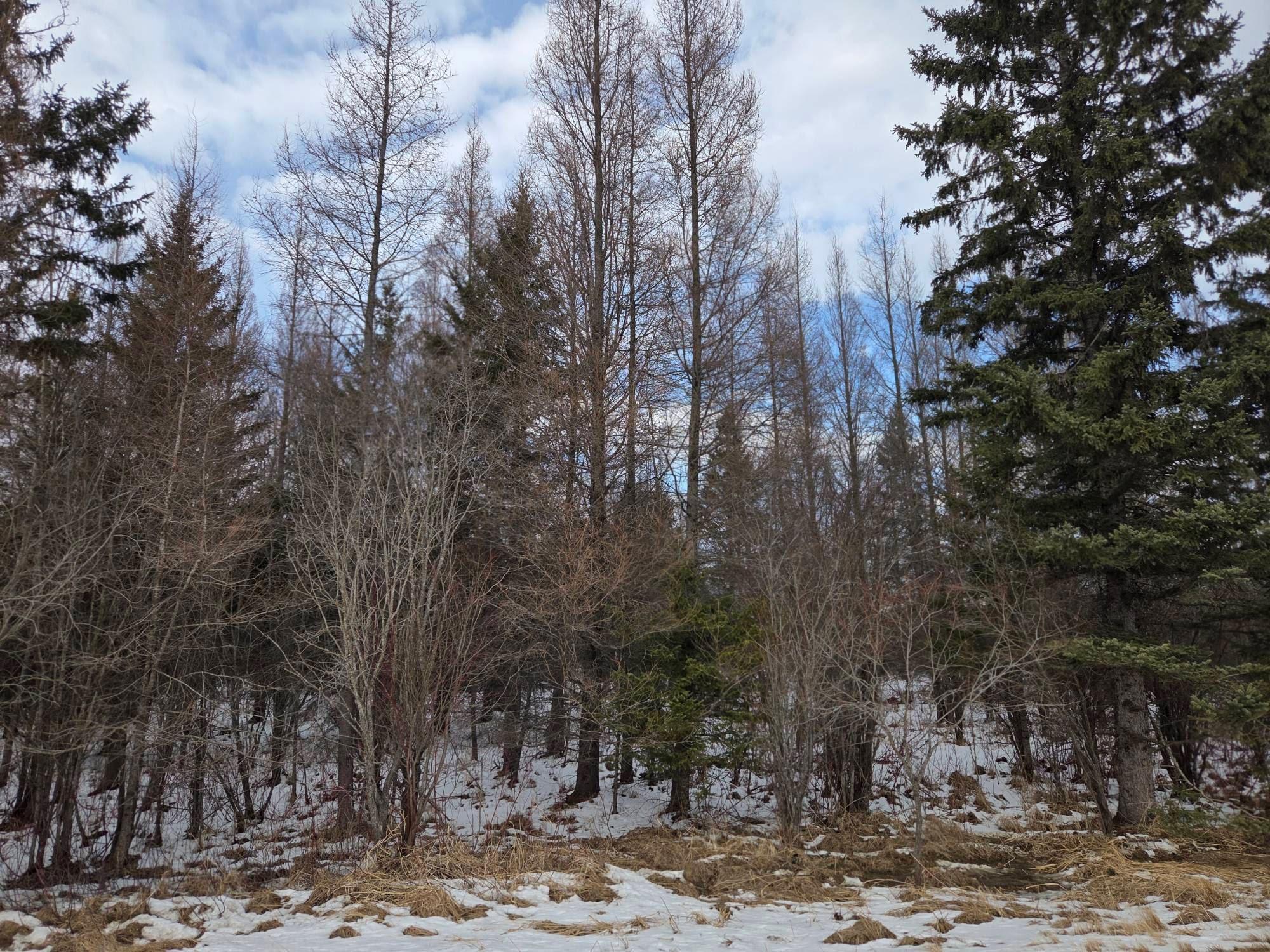 Homes for sale in Blackduck, MN | Tbd Three Mile Rd Ne, Blackduck, MN 56630 | MLS# 7038556