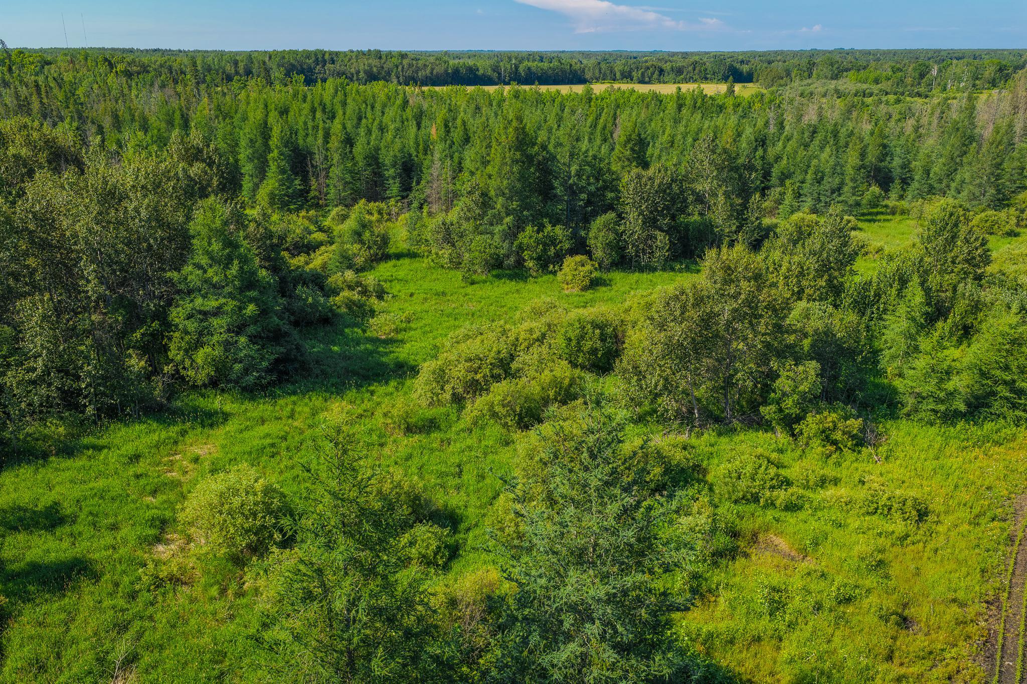 5th image of Tbd Three Mile Rd Ne, Blackduck, MN 56630 | MLS# 7038556