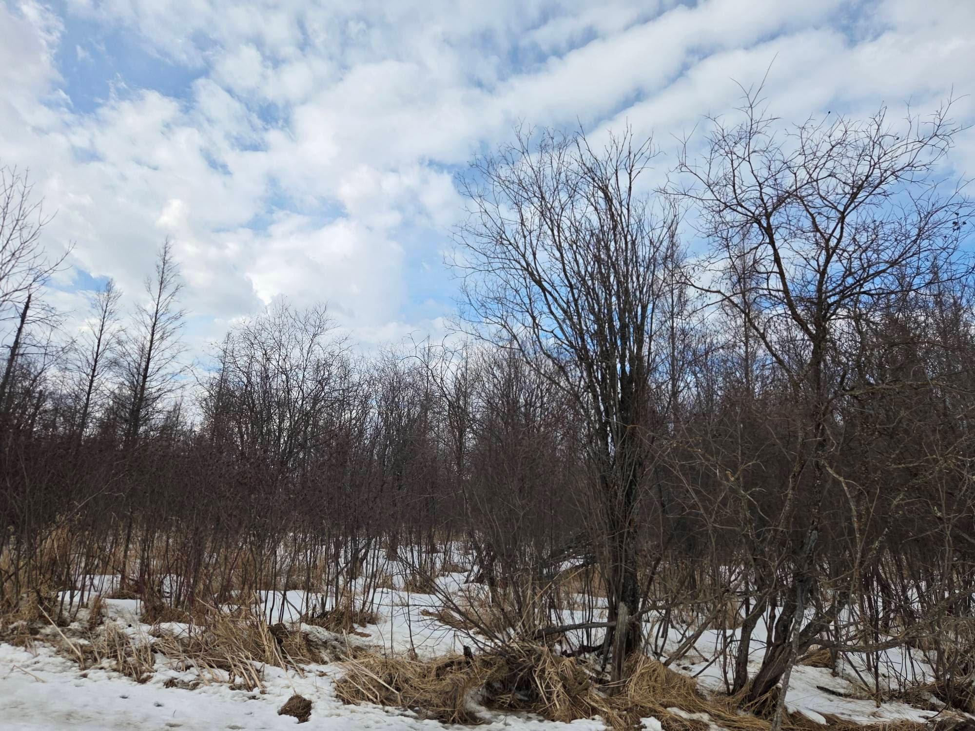 Homes for sale in Blackduck, MN | Tbd Three Mile Rd Ne, Blackduck, MN 56630 | MLS# 7038556