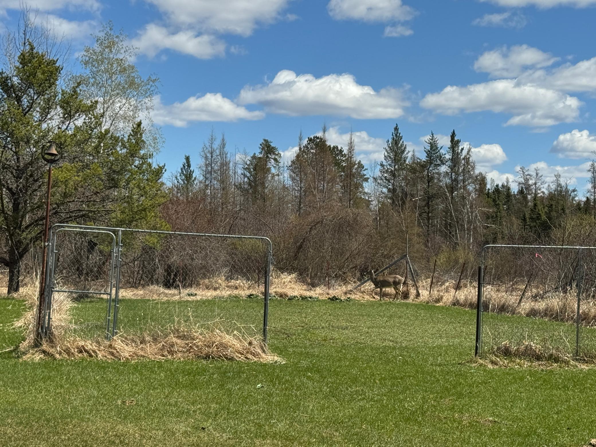 Homes for sale in Sturgeon Lake, MN | 45293 Oak Leaf Rd, Sturgeon Lake, MN 55783 | MLS# 7038682
