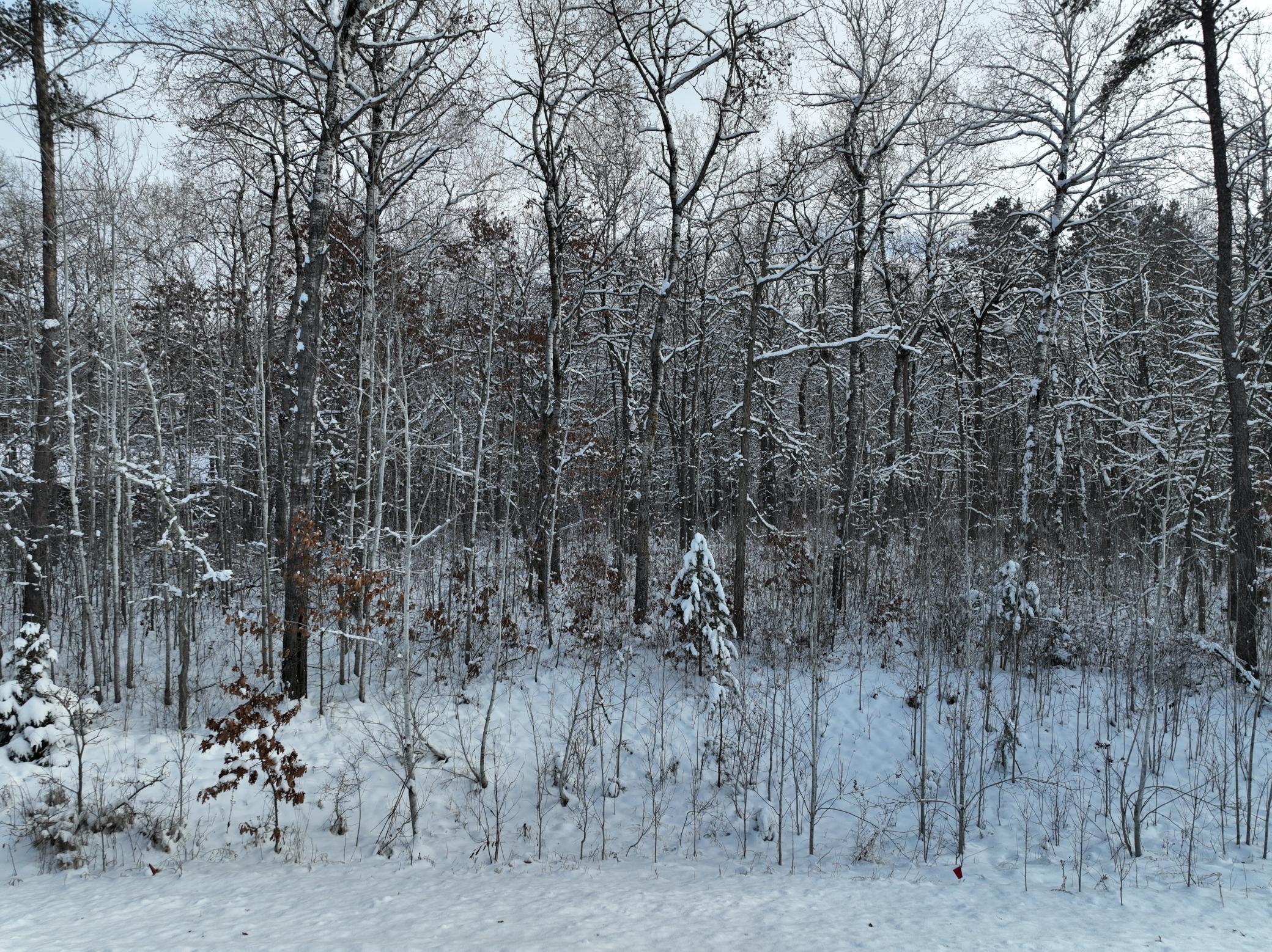 Homes for sale in Pine River, MN | Tbd Drake Cir, Pine River, MN 56474 | MLS# 7039060