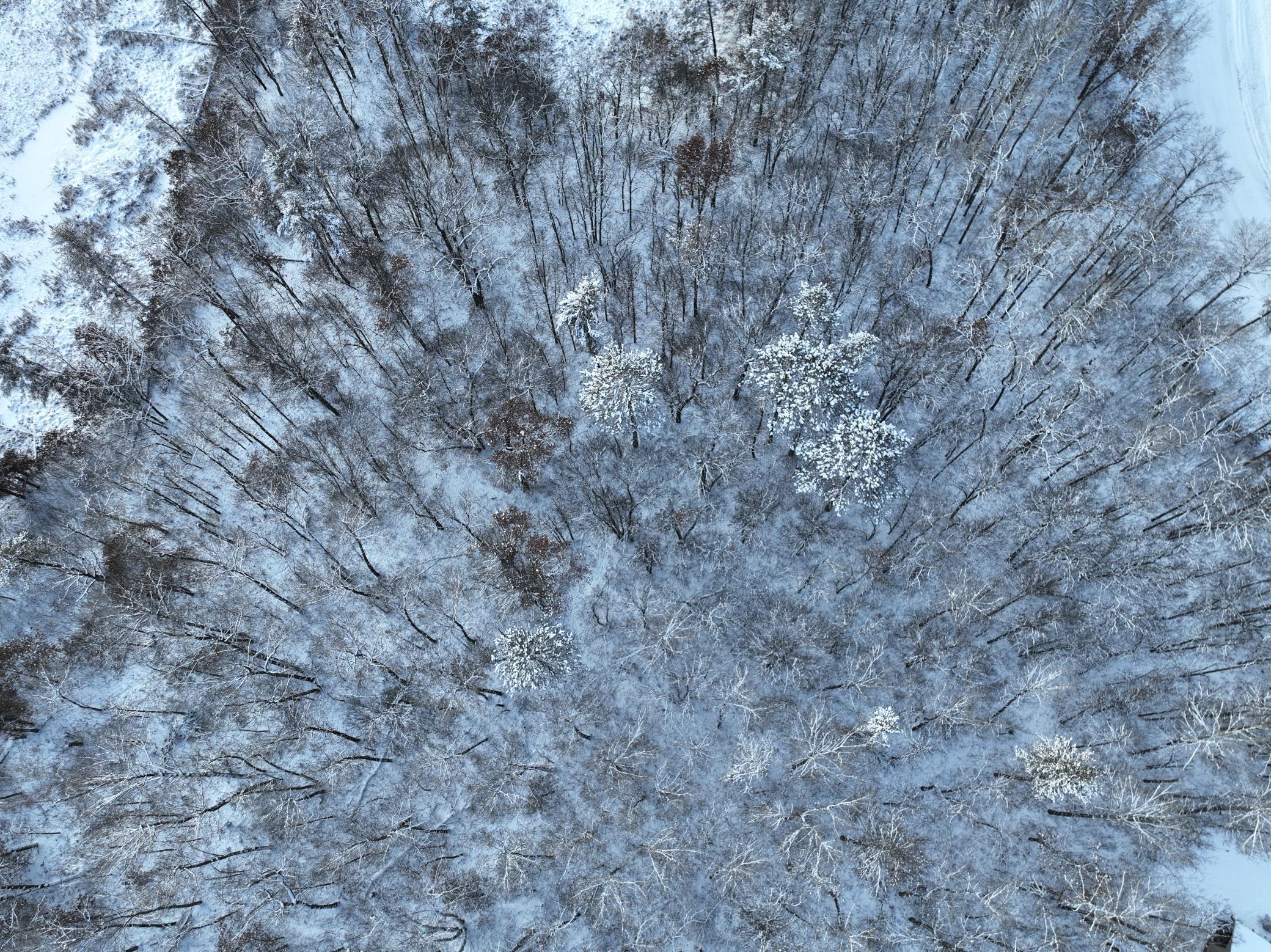 Homes for sale in Pine River, MN | Tbd Drake Cir, Pine River, MN 56474 | MLS# 7039060