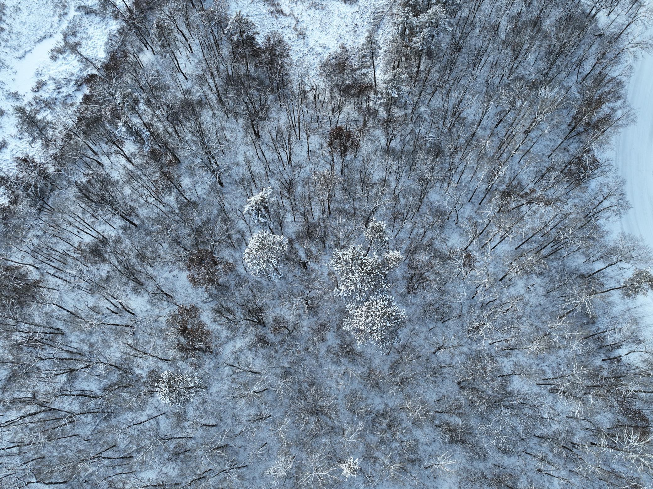 Homes for sale in Pine River, MN | Tbd Drake Cir, Pine River, MN 56474 | MLS# 7039060