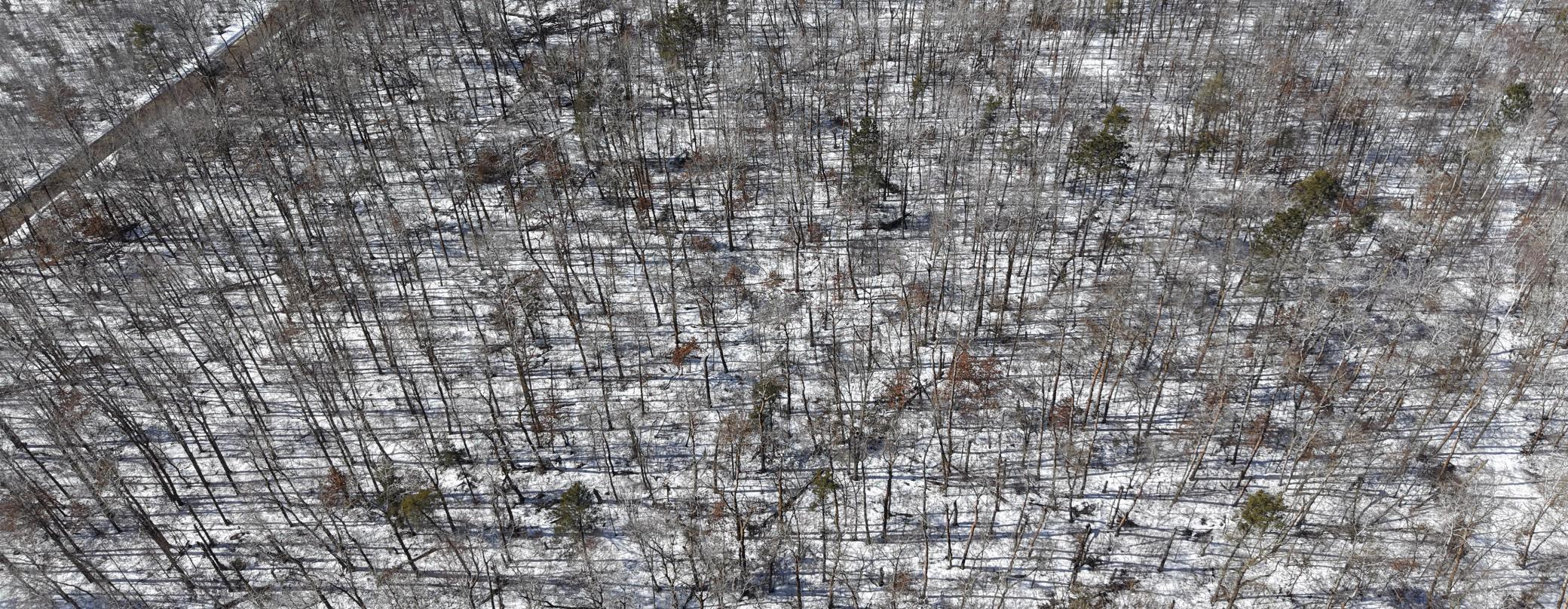 Homes for sale in Osage, MN | Tbd 8 Bog Lake Trl, Osage, MN 56570 | MLS# 7039538