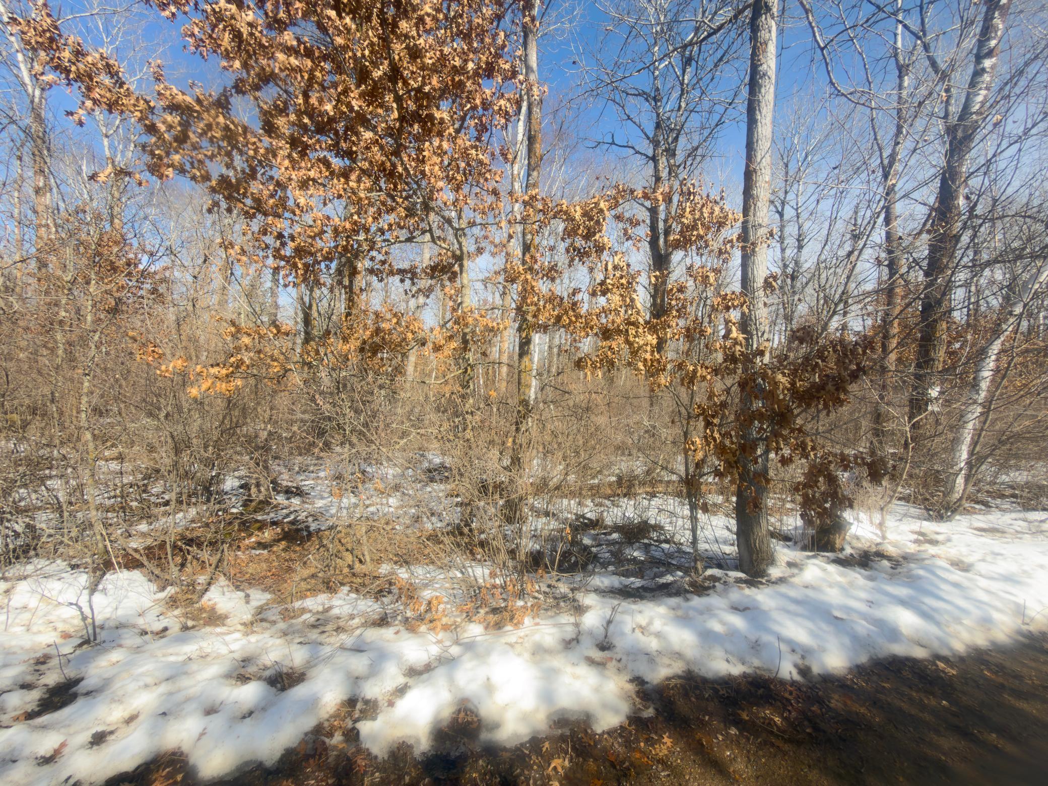 Homes for sale in Osage, MN | Tbd 8 Bog Lake Trl, Osage, MN 56570 | MLS# 7039538