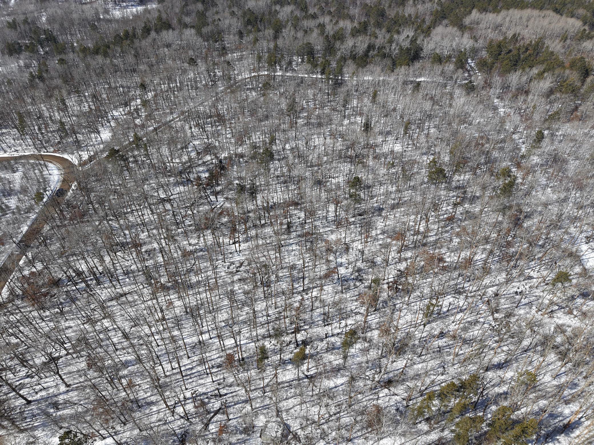 Homes for sale in Osage, MN | Tbd 8 Bog Lake Trl, Osage, MN 56570 | MLS# 7039538