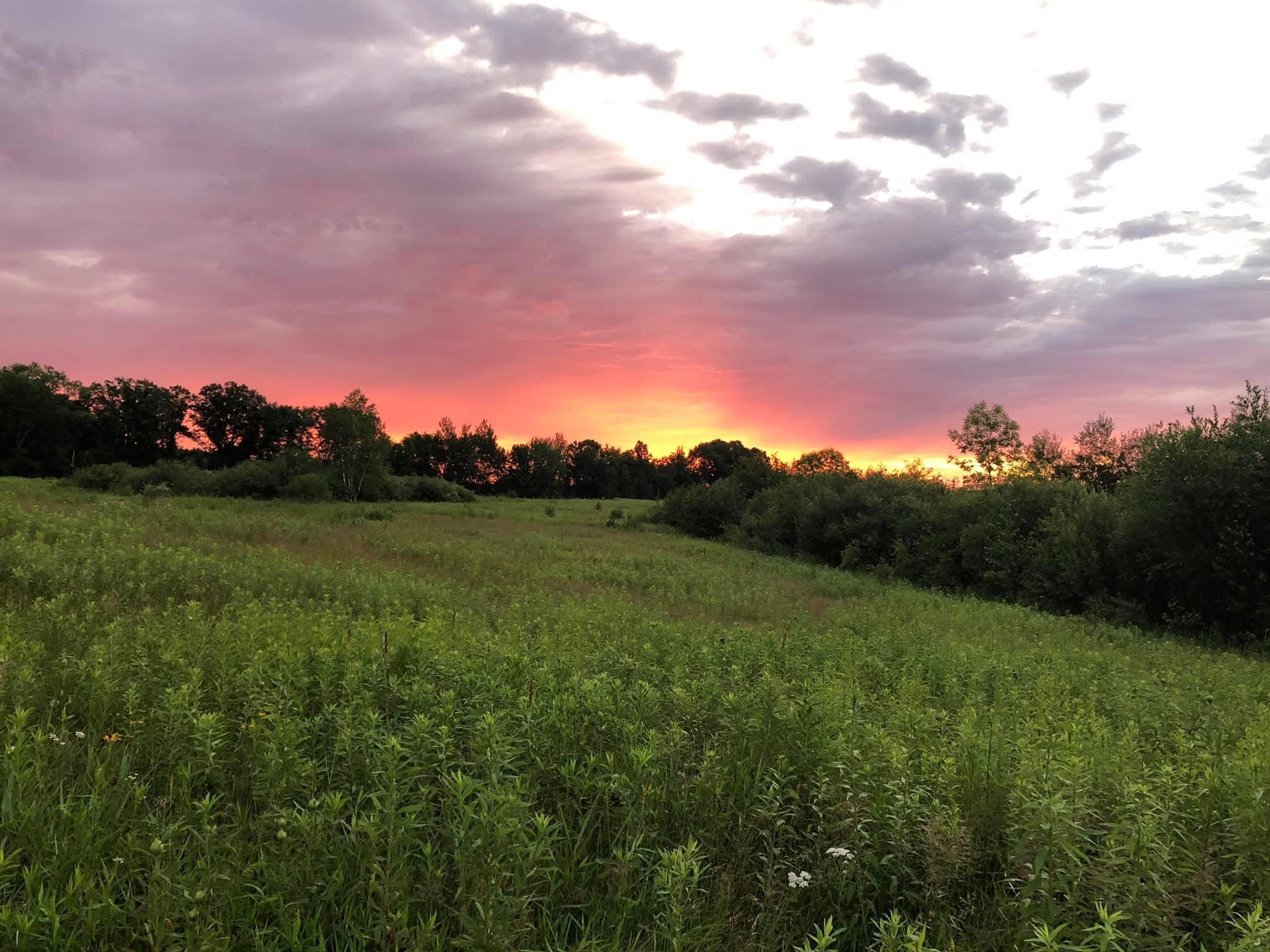 Homes for sale in Finlayson, MN | Tbd Dixon Line Rd, Finlayson, MN 55735 | MLS# 7039552