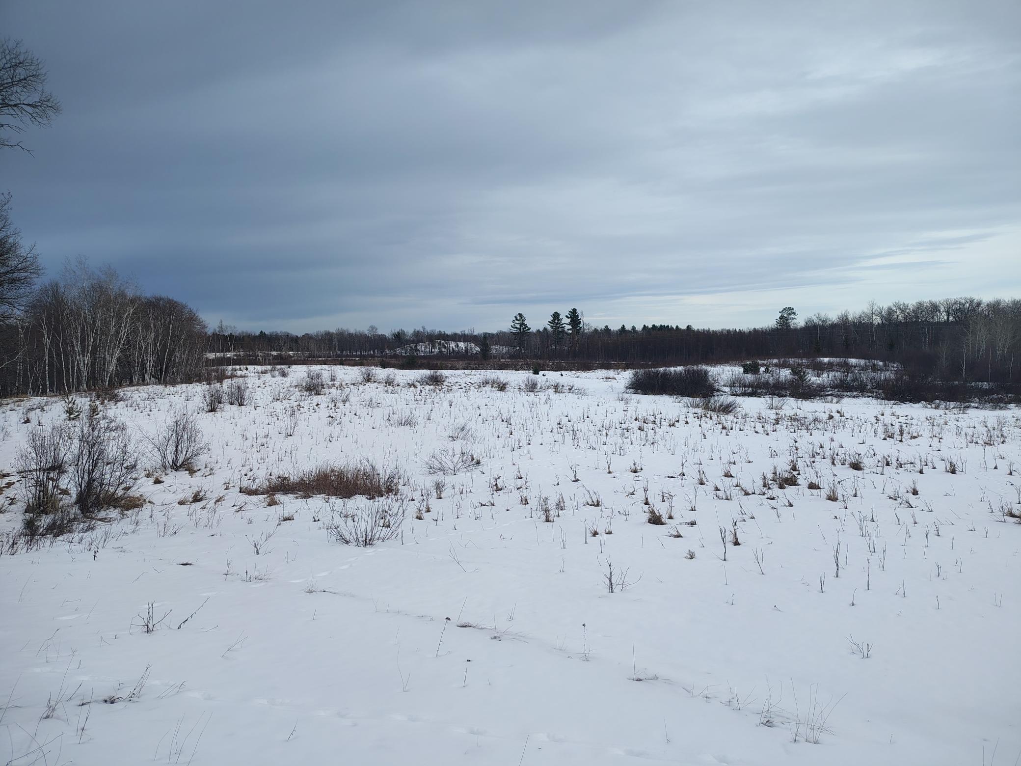 Homes for sale in Finlayson, MN | Tbd Dixon Line Rd, Finlayson, MN 55735 | MLS# 7039552