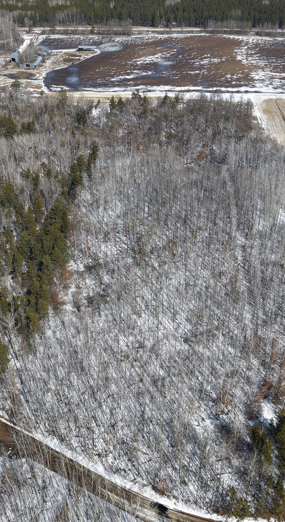 Homes for sale in Osage, MN | Tbd 10 Bog Lake Trl, Osage, MN 56570 | MLS# 7039565