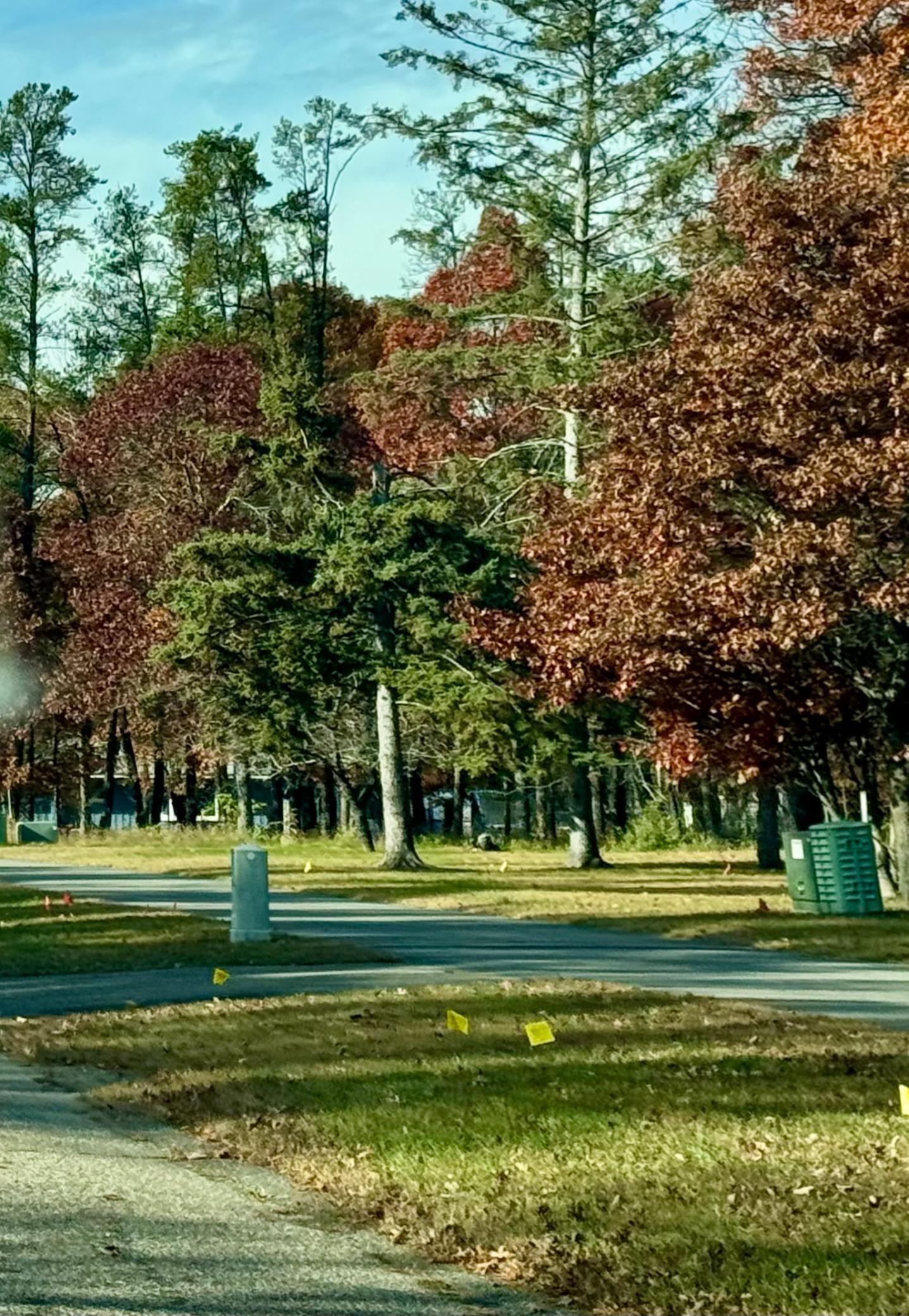 Homes for sale in Baxter, MN | Tbd Clearwater Rd N, Baxter, MN 56425 | MLS# 7039776