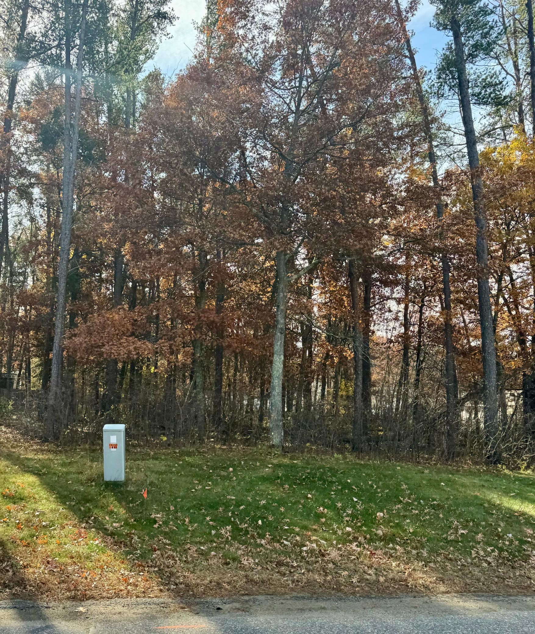 Homes for sale in Baxter, MN | Tbd Clearwater Rd N, Baxter, MN 56425 | MLS# 7039776