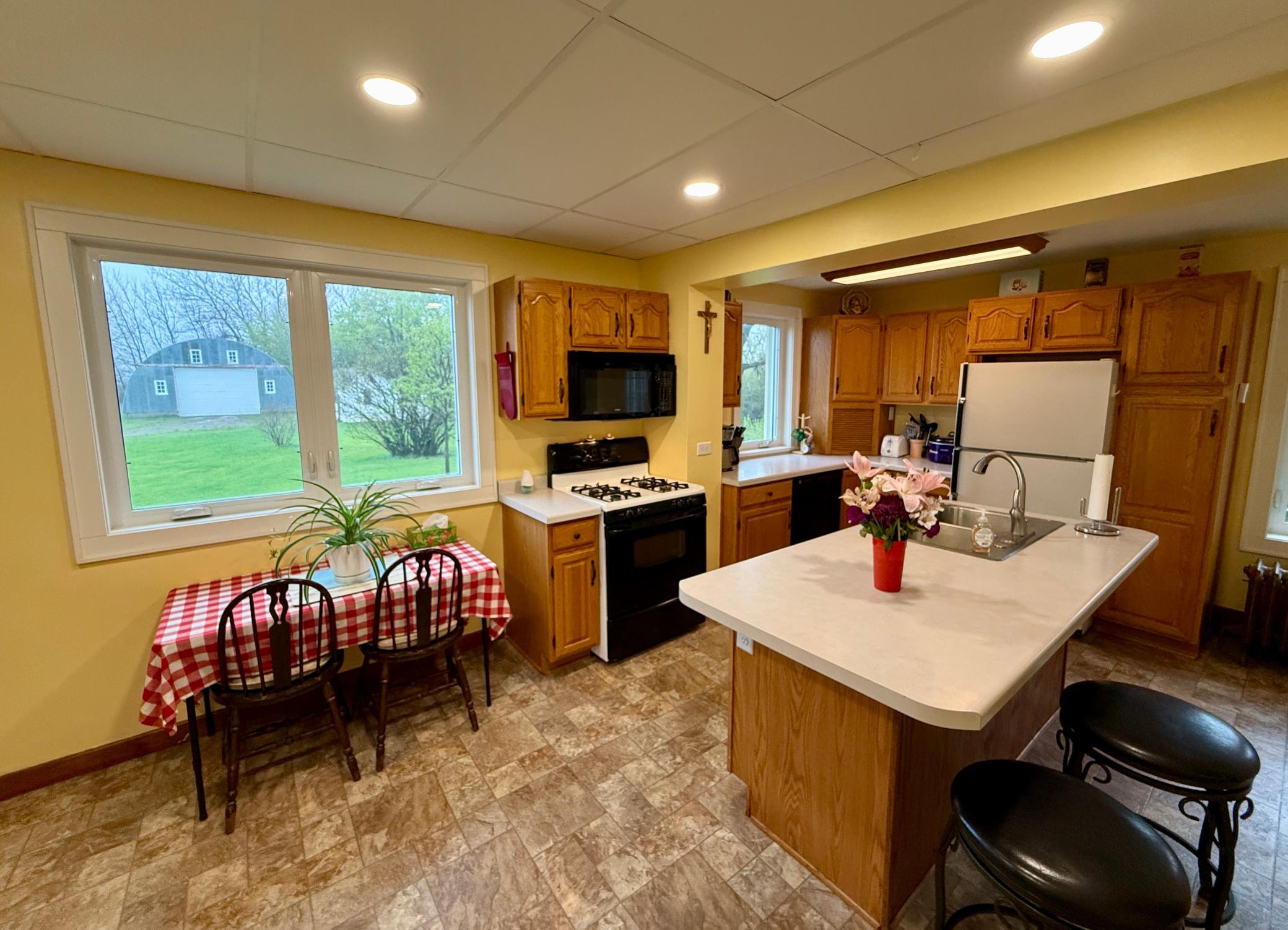 Homes for sale in Olivia, MN | 79955 360Th St, Olivia, MN 56277 | MLS# 7040731