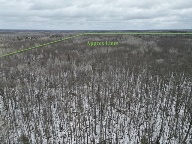 Homes for sale in Kelliher, MN | Tbd Spangrud Ct Ne, Kelliher, MN 56650 | MLS# 7040887