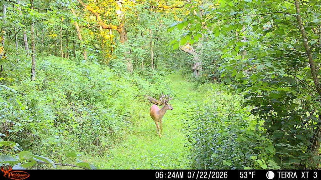 8th image of 24345 E Burns Valley Rd, Winona, MN 55987 | MLS# 7042659