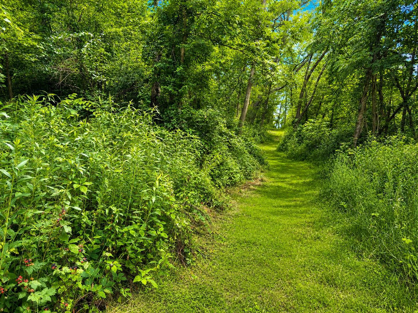 1st image of 24345 E Burns Valley Rd, Winona, MN 55987 | MLS# 7042659