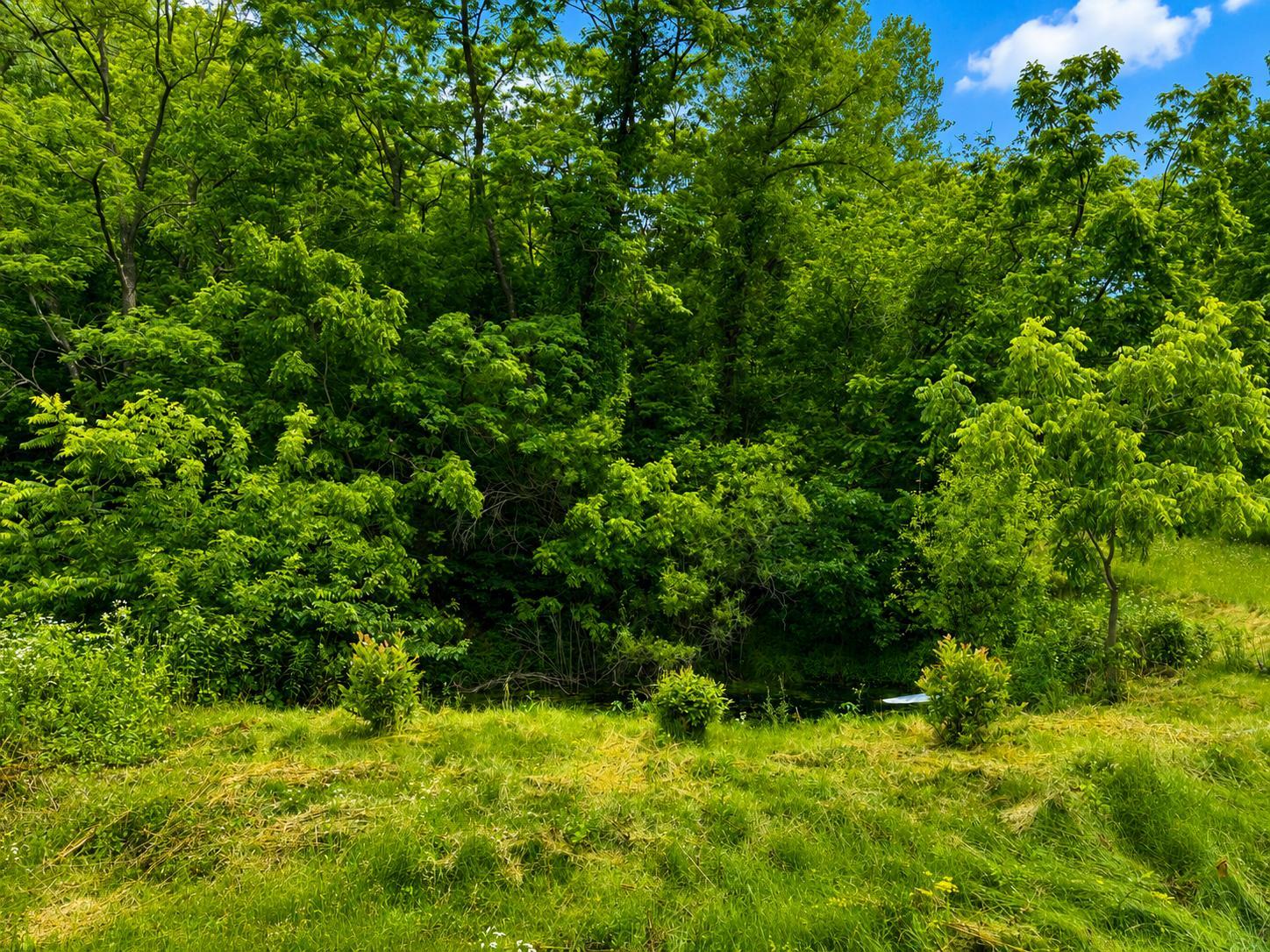 4th image of 24345 E Burns Valley Rd, Winona, MN 55987 | MLS# 7042659