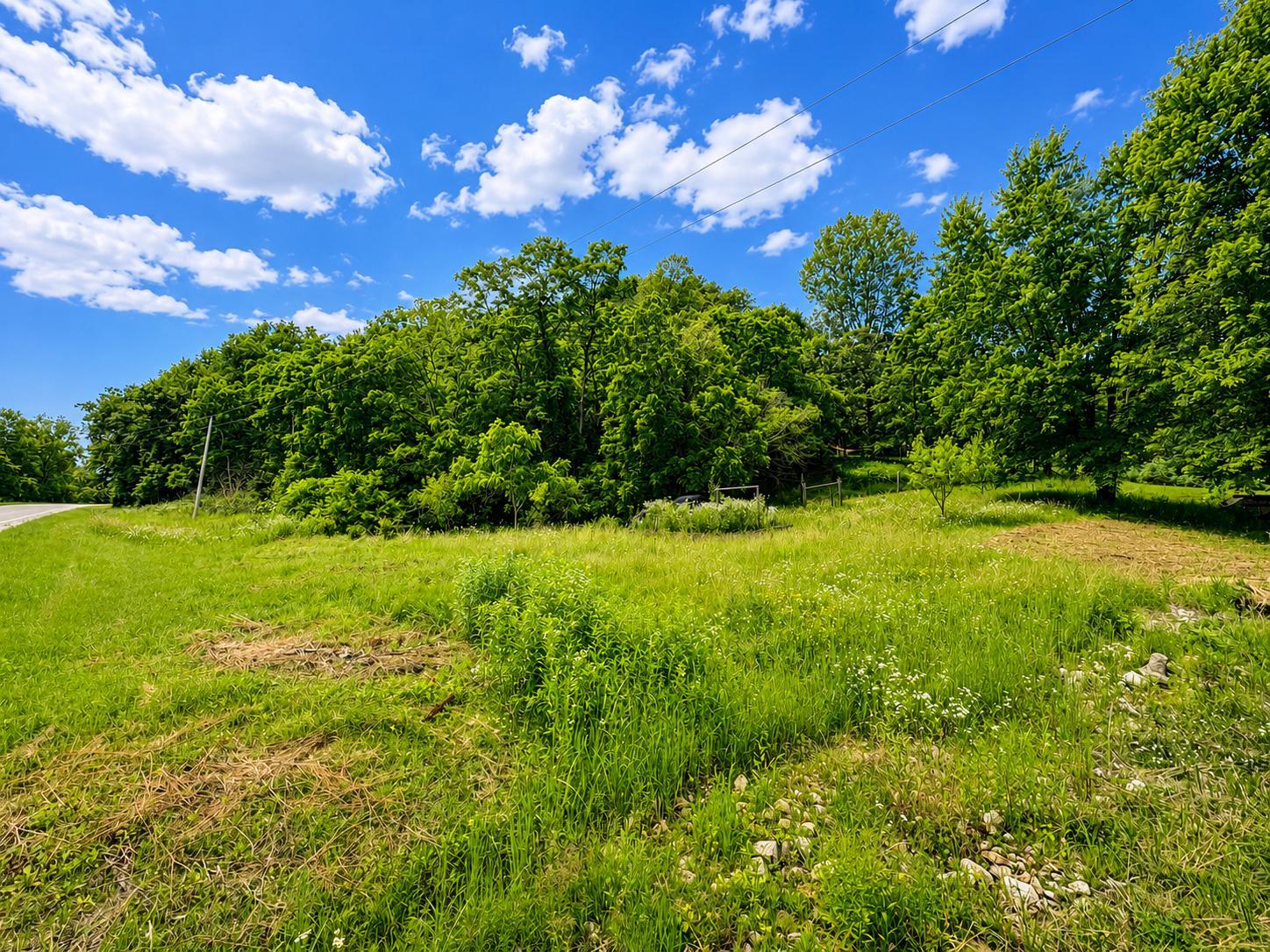 2nd image of 24345 E Burns Valley Rd, Winona, MN 55987 | MLS# 7042659