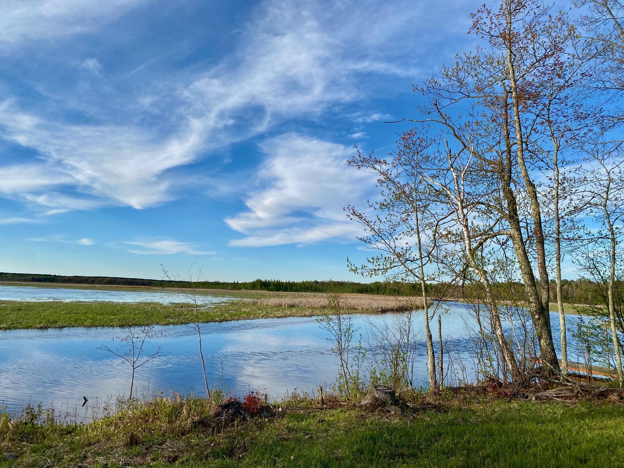 Homes for sale in Gordon, WI | 00 County Road Y, Gordon, WI 54838 | MLS# 7042750