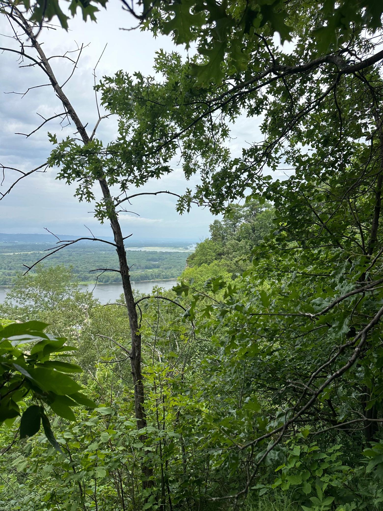 3rd image of Lot 1 Alma Hills, Alma, WI 54610 | MLS# 7044074