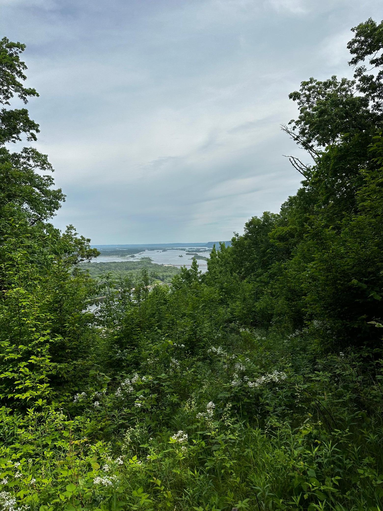 34th image of Lot 4 Alma Hills, Alma, WI 54610 | MLS# 7044187