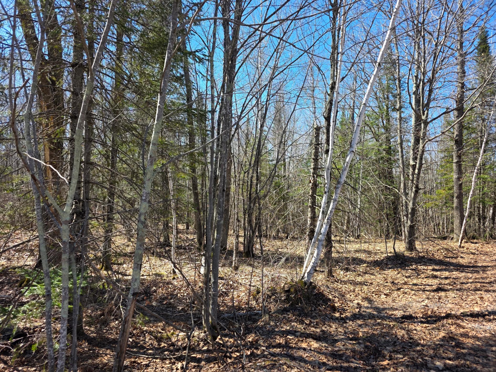 Homes for sale in Cloquet, MN | Tbd Stark Rd, Cloquet, MN 55720 | MLS# 7044220