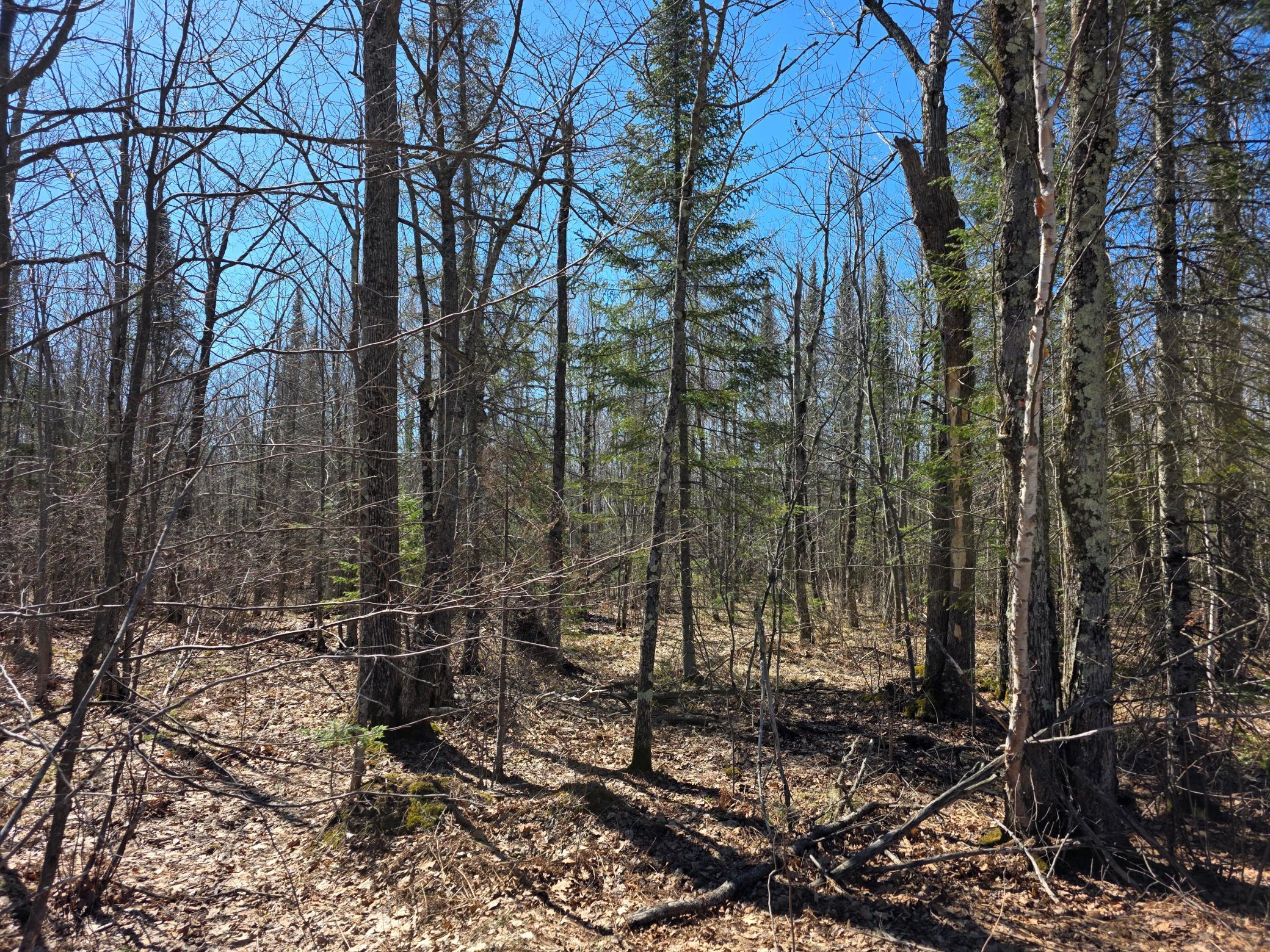 Homes for sale in Cloquet, MN | Tbd Stark Rd, Cloquet, MN 55720 | MLS# 7044220