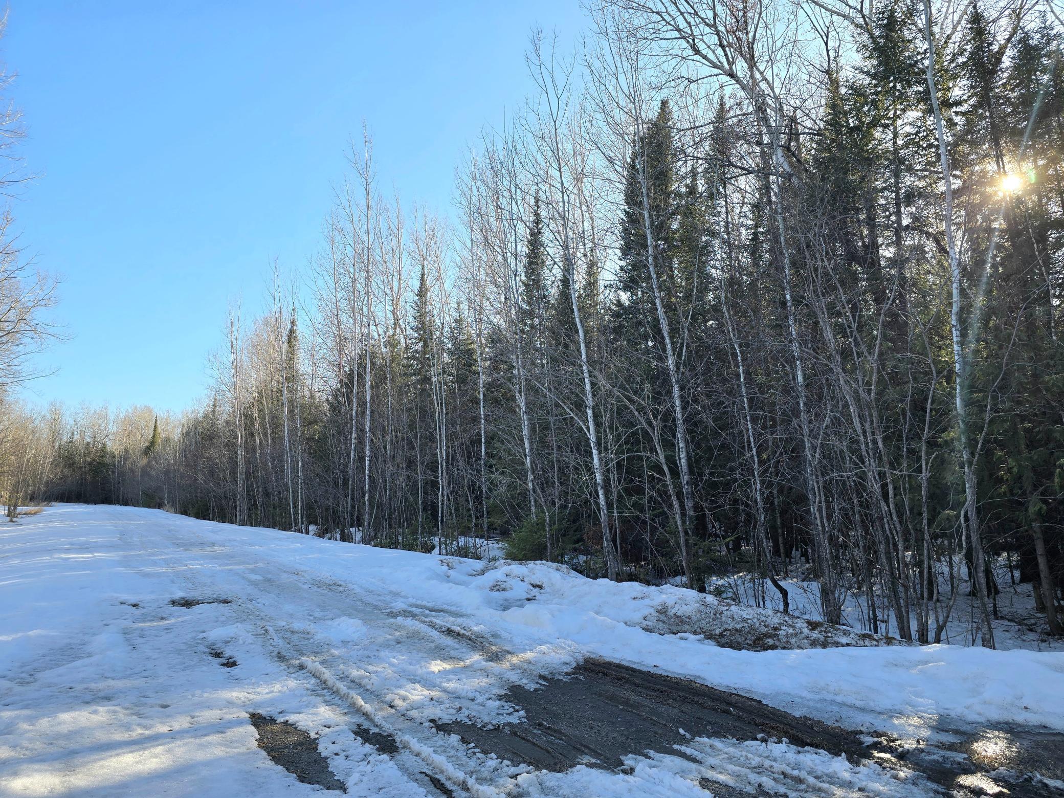 Homes for sale in International Falls, MN | Tbd 4th Ave 22nd Street W, International Falls, MN 56649 | MLS# 7044777