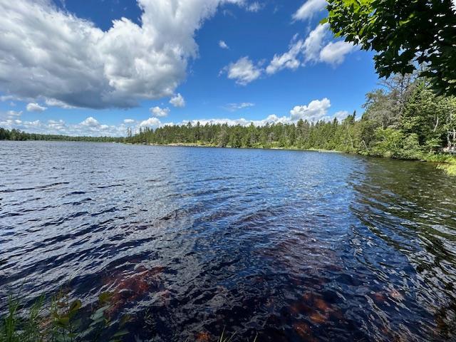4th image of 1804 N Bay Rd, Ely, MN 55731 | MLS# 7046279