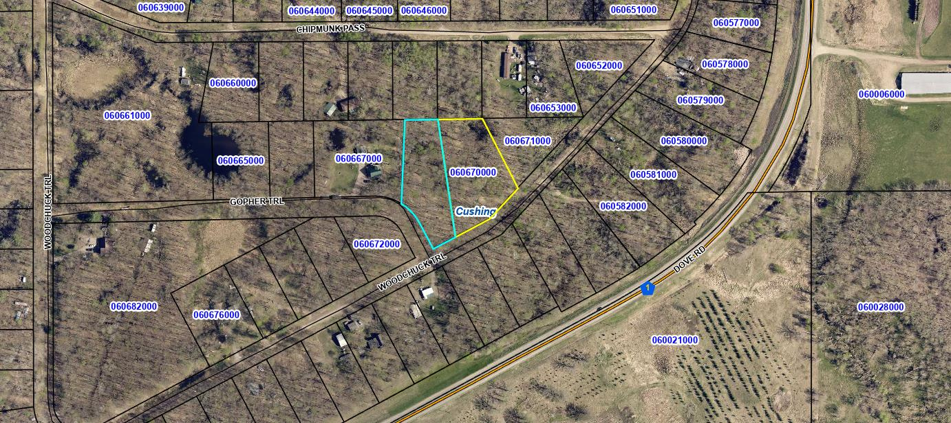 Homes for sale in Cushing, MN | Tbd Woodchuck Trail, Cushing, MN 56443 | MLS# 7047199