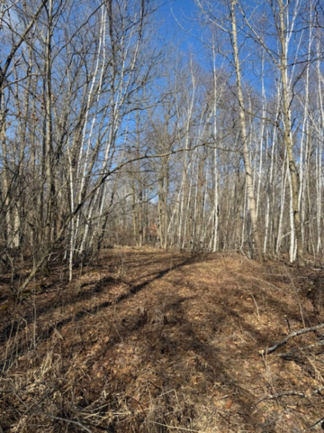 Homes for sale in Cushing, MN | Tbd Woodchuck Trail, Cushing, MN 56443 | MLS# 7047199