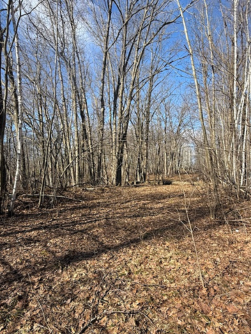 Homes for sale in Cushing, MN | Tbd Woodchuck Trail, Cushing, MN 56443 | MLS# 7047199