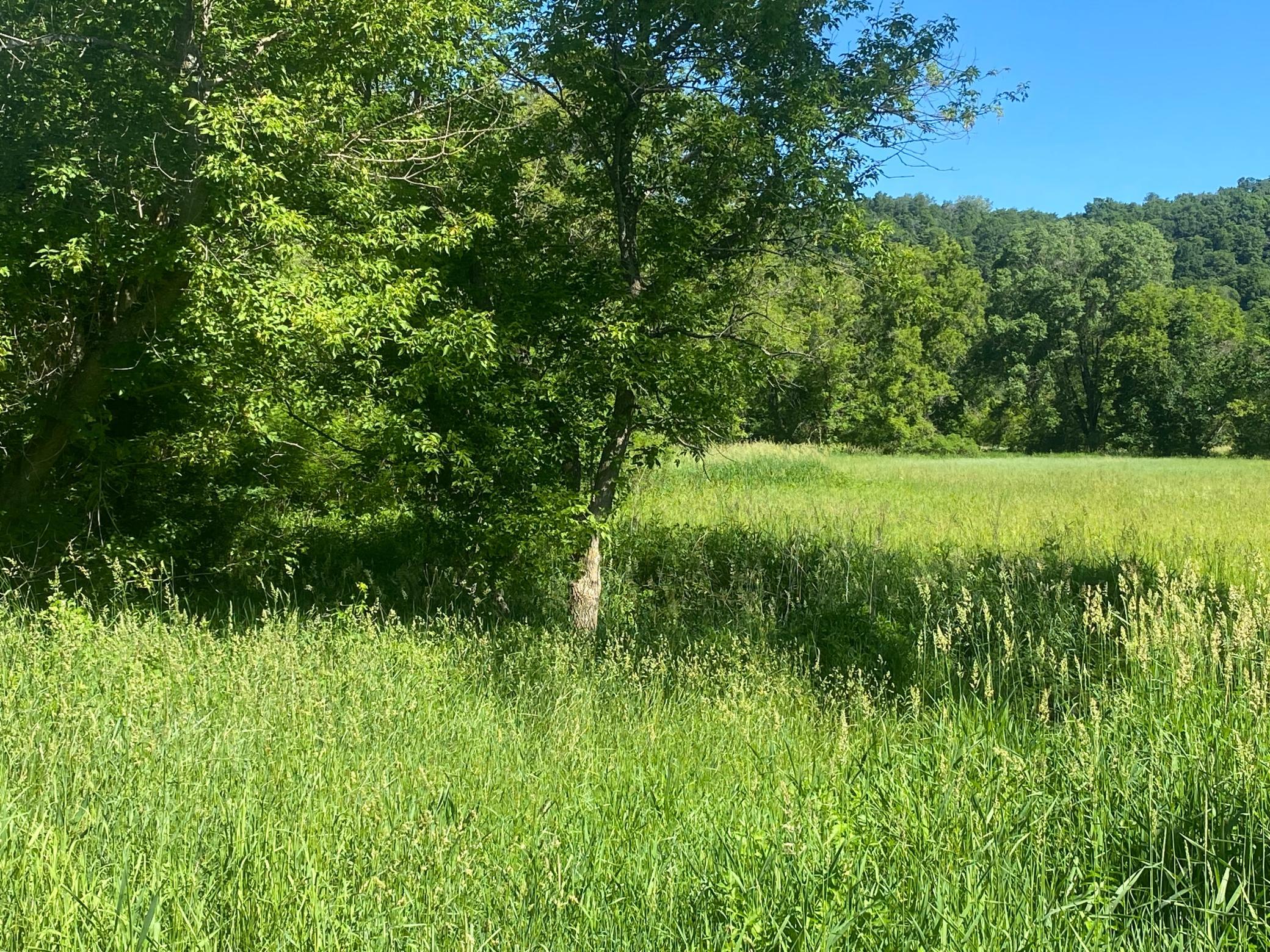 5th image of 27333 Deep River Rd, Lanesboro, MN 55949 | MLS# 7048286