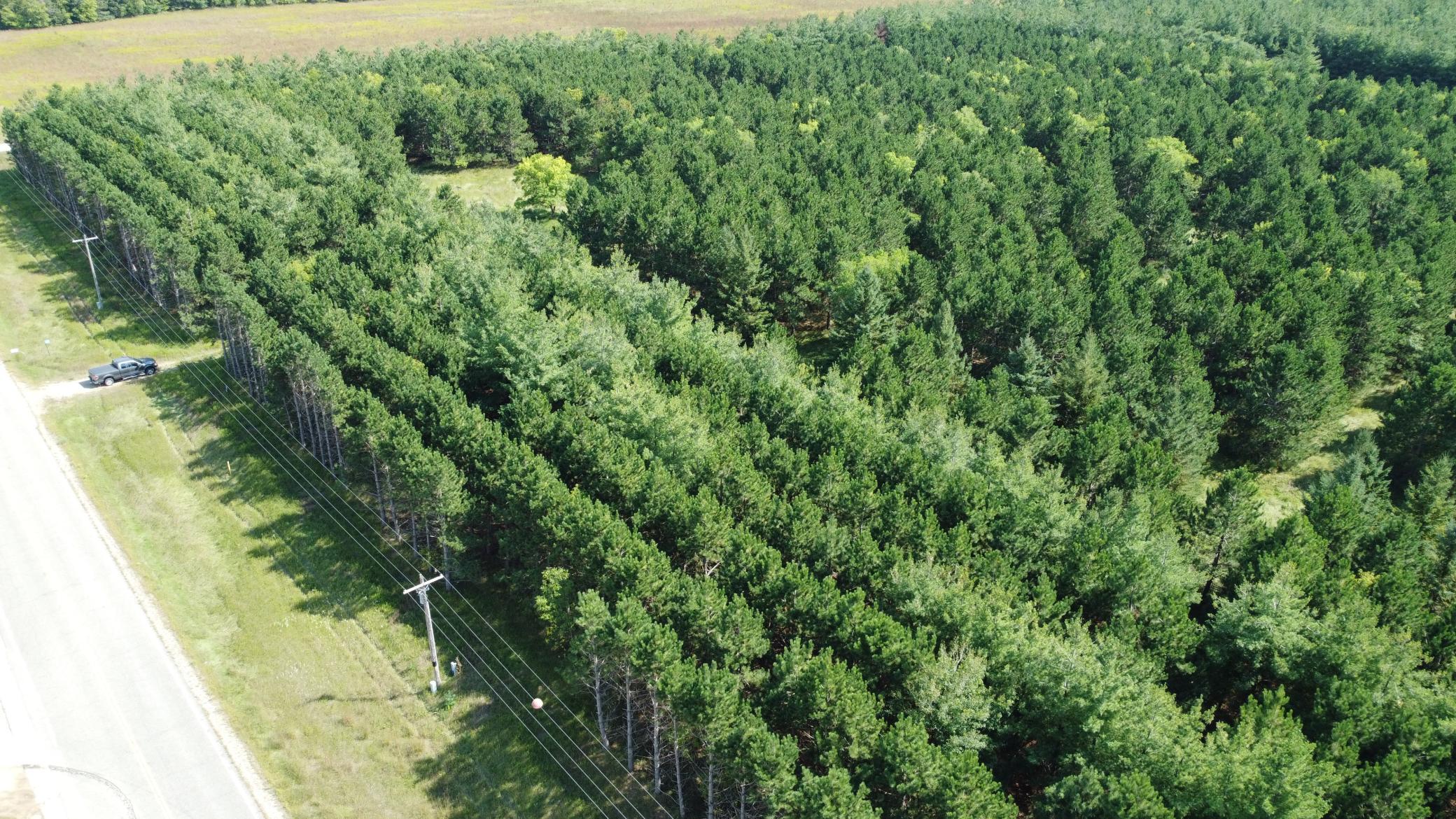 41st image of Tbd County Hwy 54, New York Mills, MN 56567 | MLS# 7048974