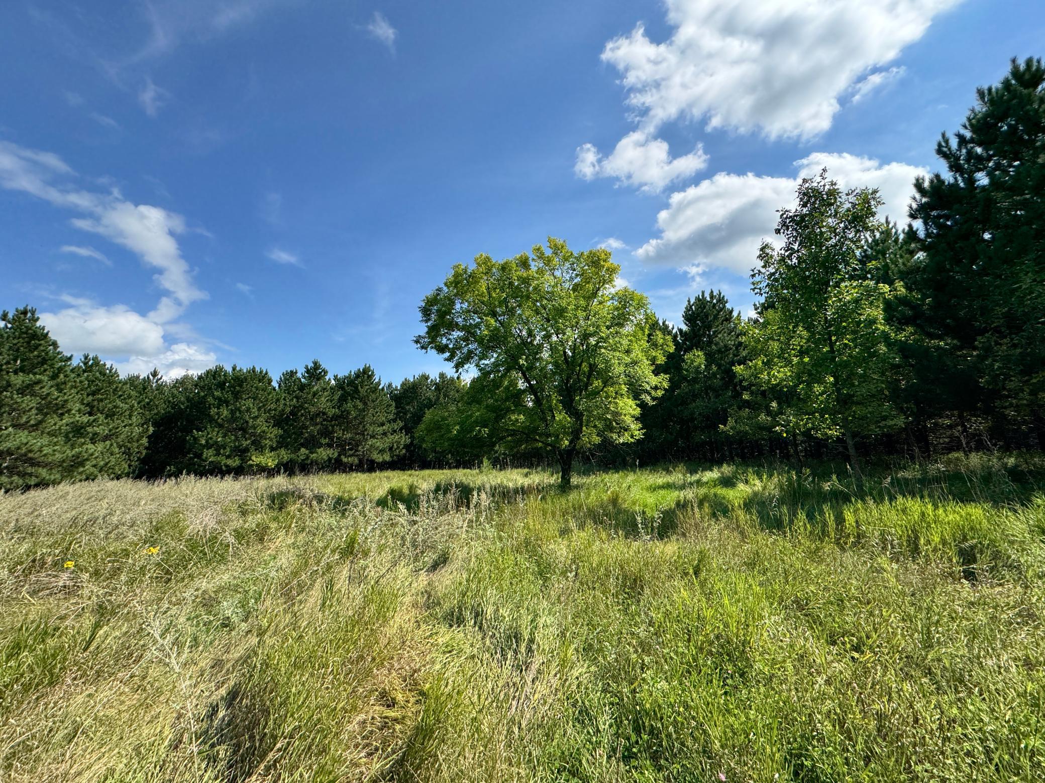 2nd image of Tbd County Hwy 54, New York Mills, MN 56567 | MLS# 7048974