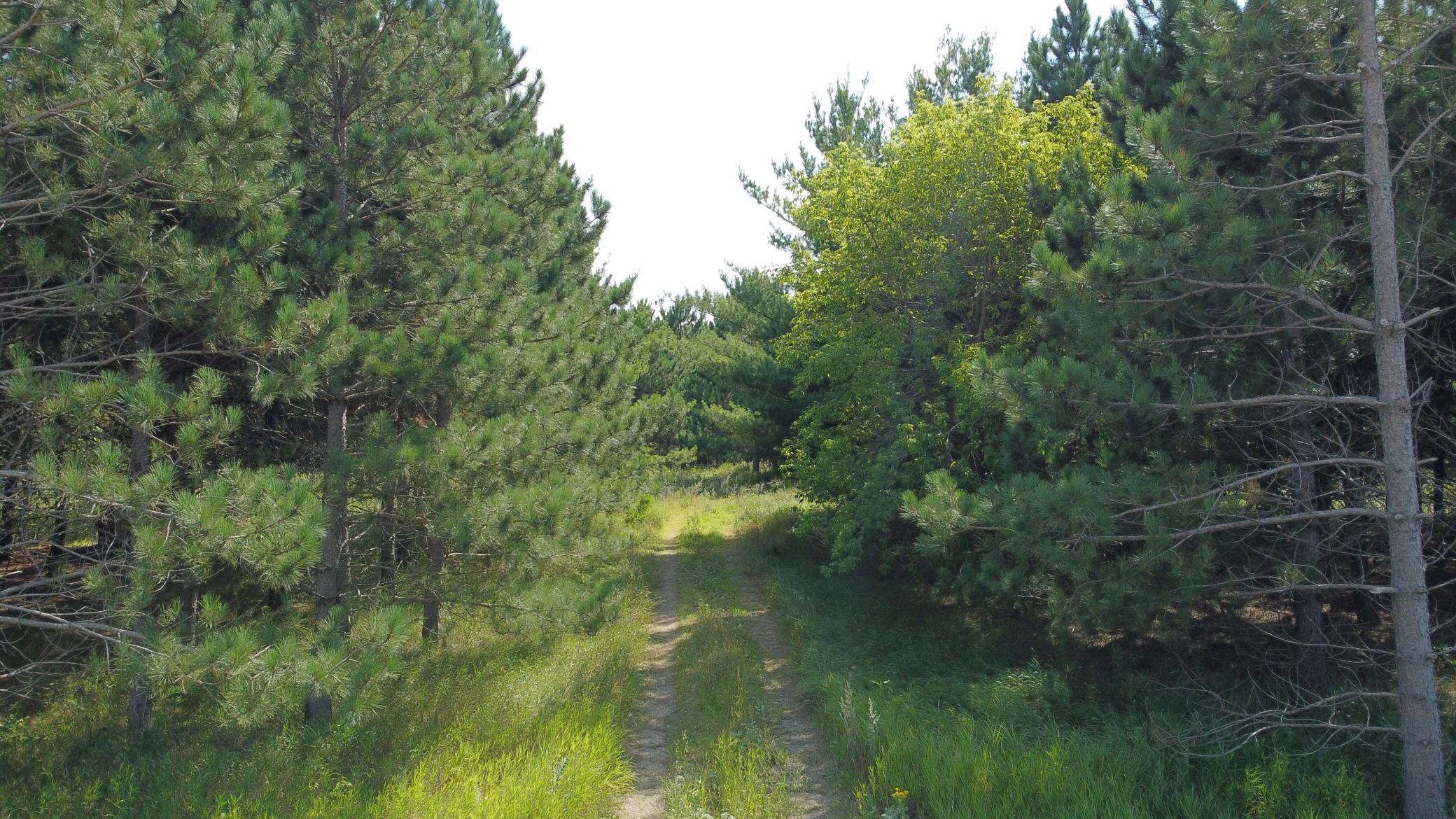 2nd image of 49928 County Hwy 54, New York Mills, MN 56567 | MLS# 7048988